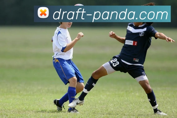 熊猫体育服务体系